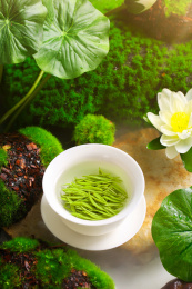 碧螺春茶叶冲泡