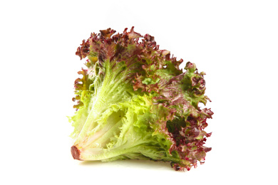 白底上的罗莎红生菜