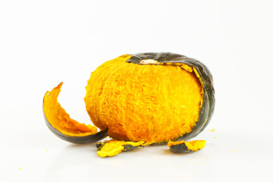 白底上的贝贝小南瓜