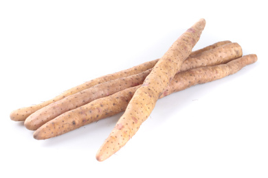 白底上的铁杆山药 铁棍山药