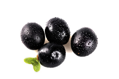 白底上的台湾嘉宝果