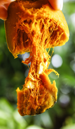 手里拿着蒸熟的贝贝南瓜