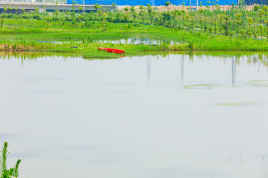 一片养殖河塘