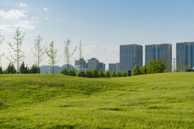 蓝天下的城市建筑和大片草地