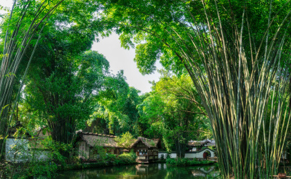 四川成都杜甫草堂茅屋故居自然建筑风光