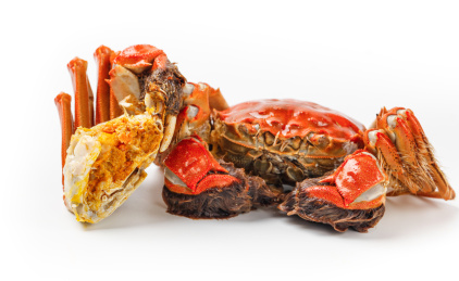 白底上放着阳澄湖大闸蟹