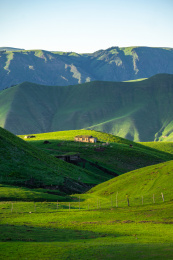 中国新疆伊犁特克斯县喀拉峻草原
