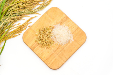 绿色背景丰收概念稻谷大米