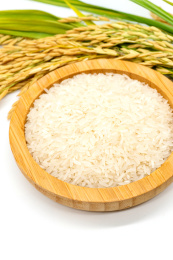 白色背景粮食主题稻谷大米