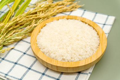 白色背景粮食主题稻谷大米