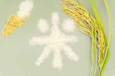 绿色背景创意稻谷大米字体