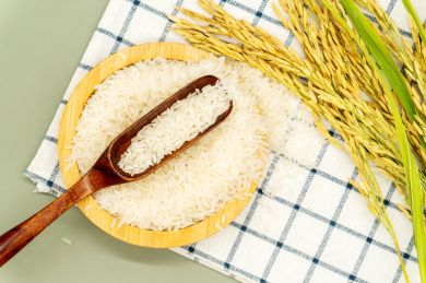 绿色背景主食大米