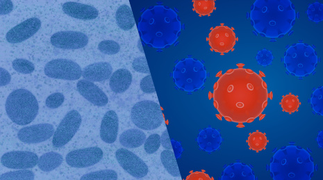 猴痘和新型冠状病毒插画概念图