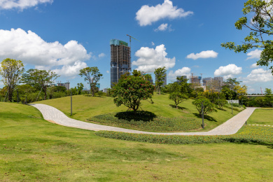 公园里的林荫小道