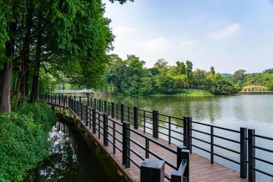 广州麓湖公园城市风光