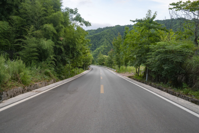 乡村林荫公路