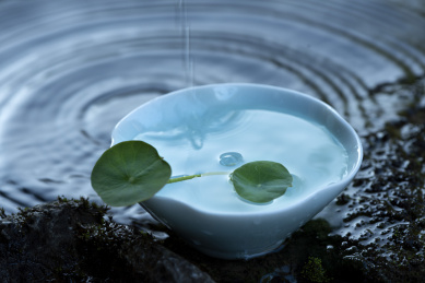 青绿色花瓣形状的茶盏