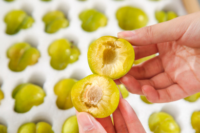 手上掰开的蜂糖李