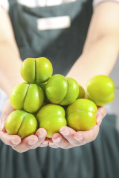 手上捧着一堆蜂糖李