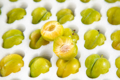 盒子里装着蜂糖李