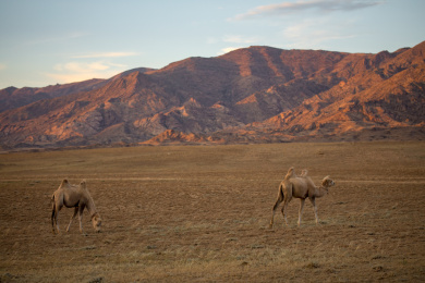 中国新疆阿勒泰的风光