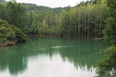 中国湖北京山美人谷碧潭和树林自然景观