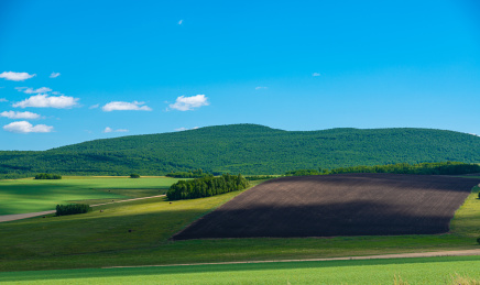 中国内蒙古锡林郭勒大草原风光