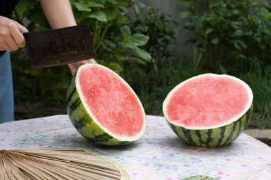 夏天农院切西瓜