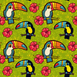 热带大嘴鸟背景