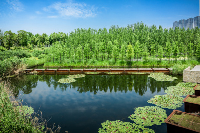 南京市河西南京眼旅游区
