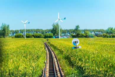 中国辽宁沈阳沈北新区稻梦空间景区的稻田