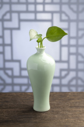 梅瓶绿萝插花摆放在木桌面上特写