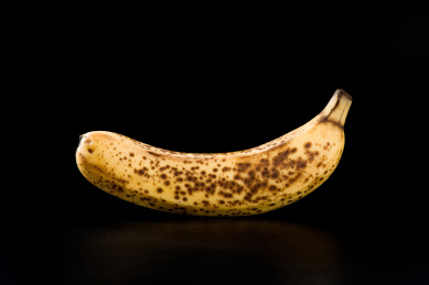 海南黑色香蕉图片