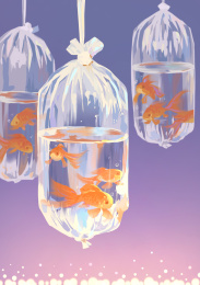 袋子里的金鱼 塑料袋