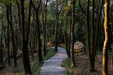 公园中的石板路