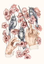 鸟儿的歌声插画