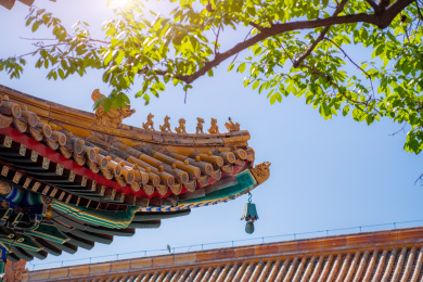 北京雍和宫古建筑飞檐蹲兽