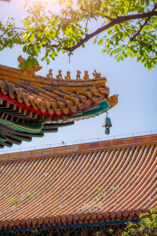 北京雍和宫古建筑飞檐蹲兽
