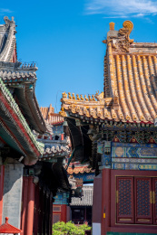 北京雍和宫古建筑飞檐蹲兽