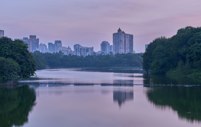 中国广州麓湖公园湖景树林自然风光