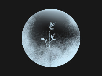 霜降微景观结霜冰球