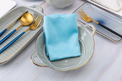 厨房里的鱼鳞抹布静物