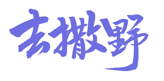 手书手写汉字书法字体去撒野