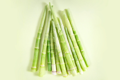 新鲜小竹笋食材