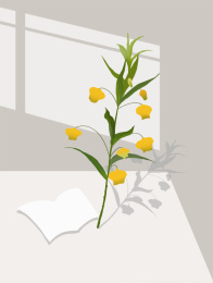 阳光下的宫灯百合