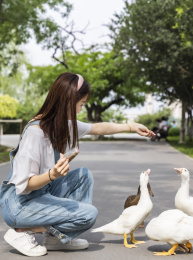 在公园里喂鸭子的甜美东方女孩