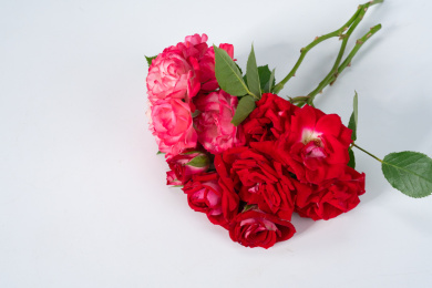 鲜花花束蔷薇花