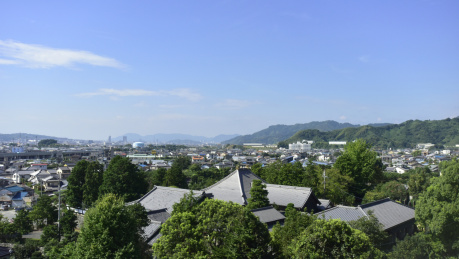 日本大阪乡镇建筑群落
