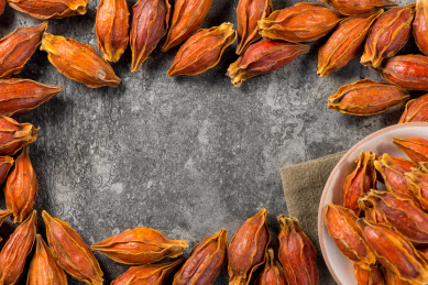 香料中药材栀子