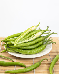 青辣椒